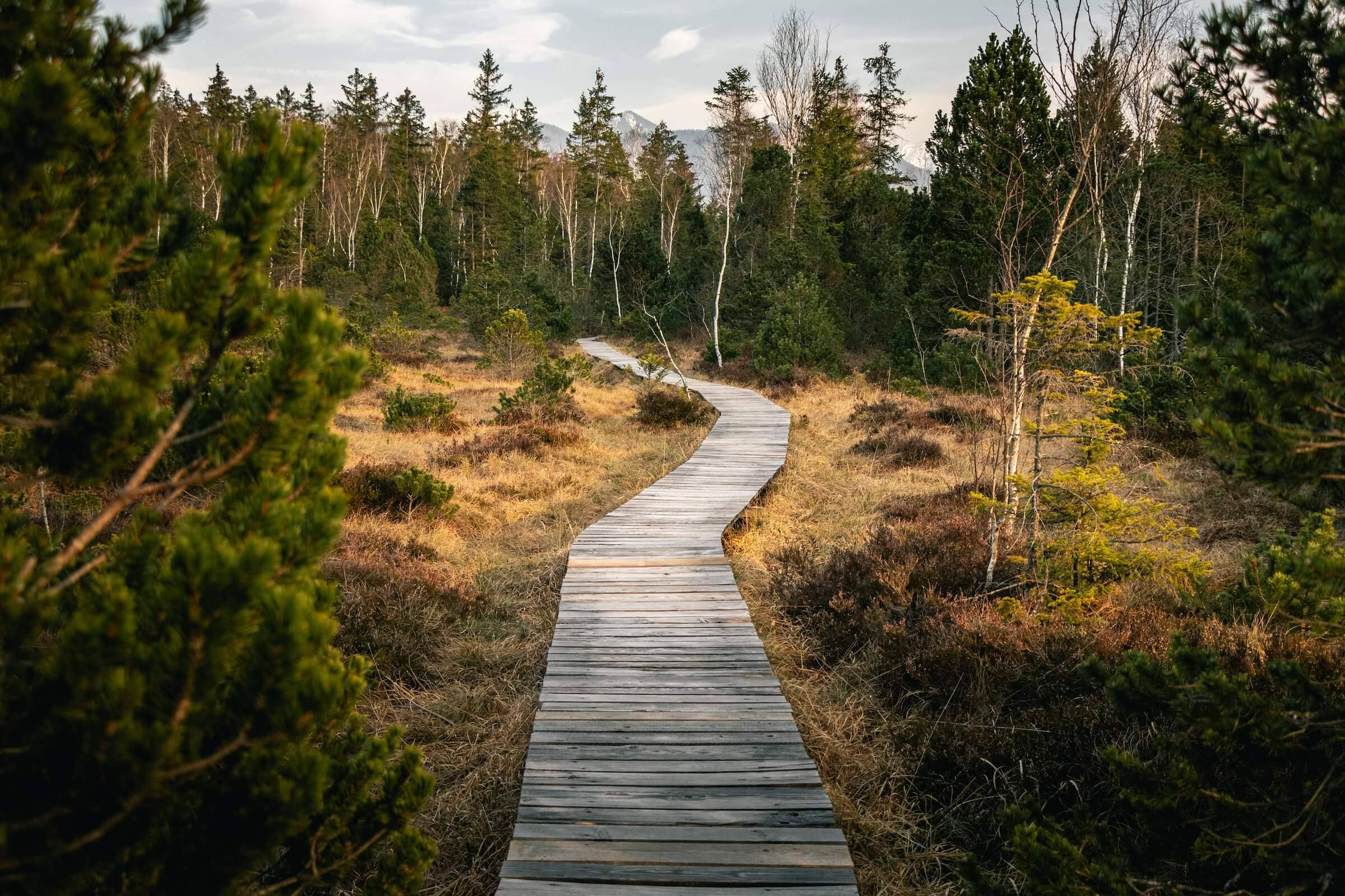 De kracht van Mindfulness voor het verminderen van stress